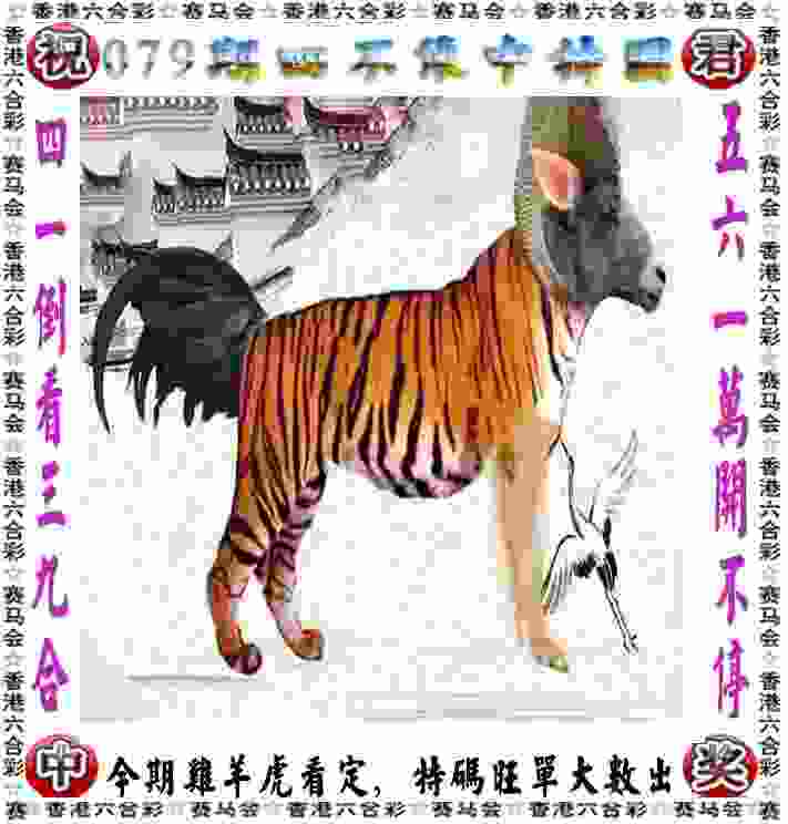 焦科维奇获职业生涯巡回赛单打第100冠